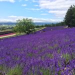 国内旅行 北海道