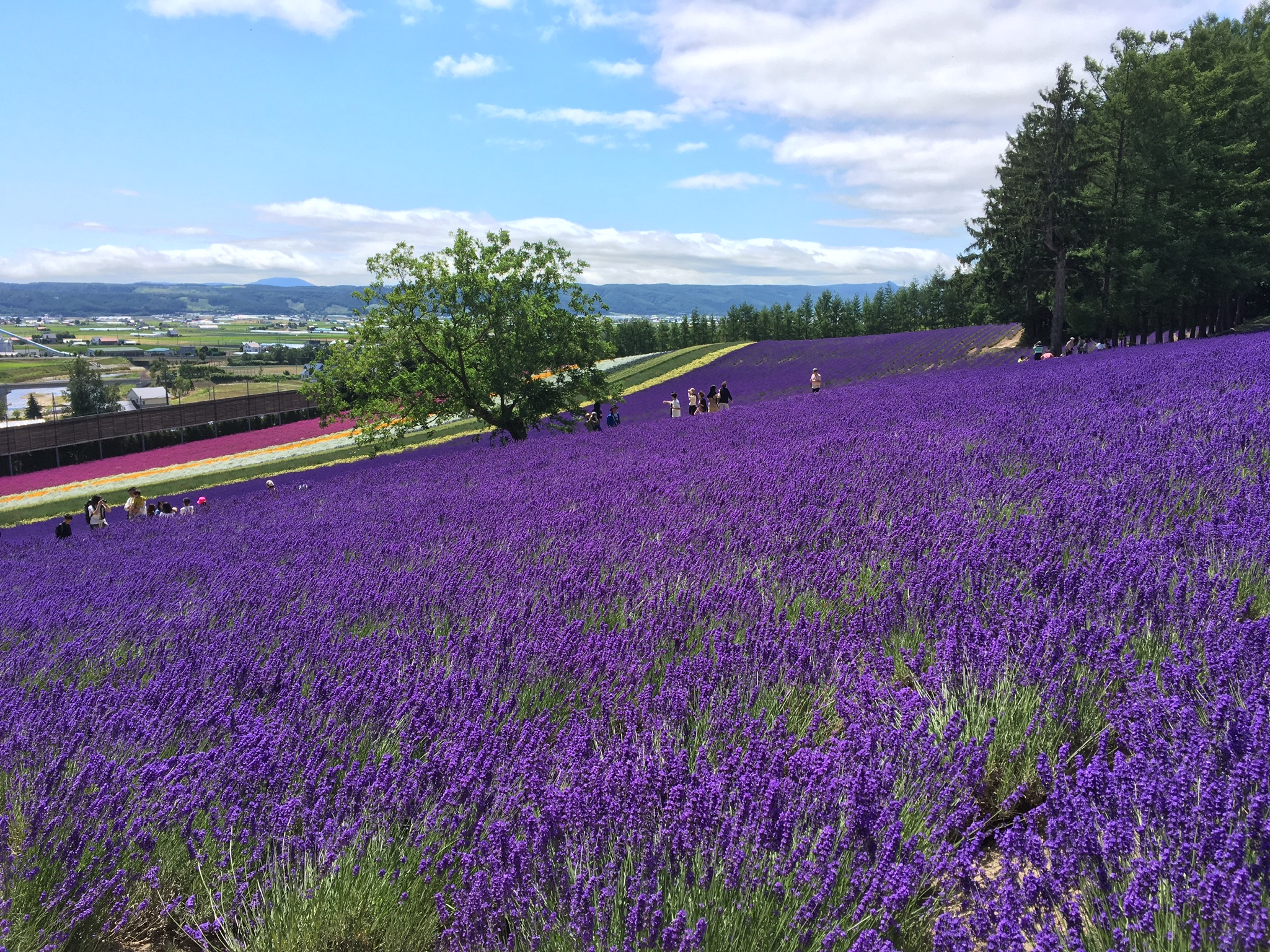 国内旅行　北海道