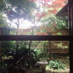 緑を求めて