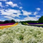 旅行を再開するのは、近隣から