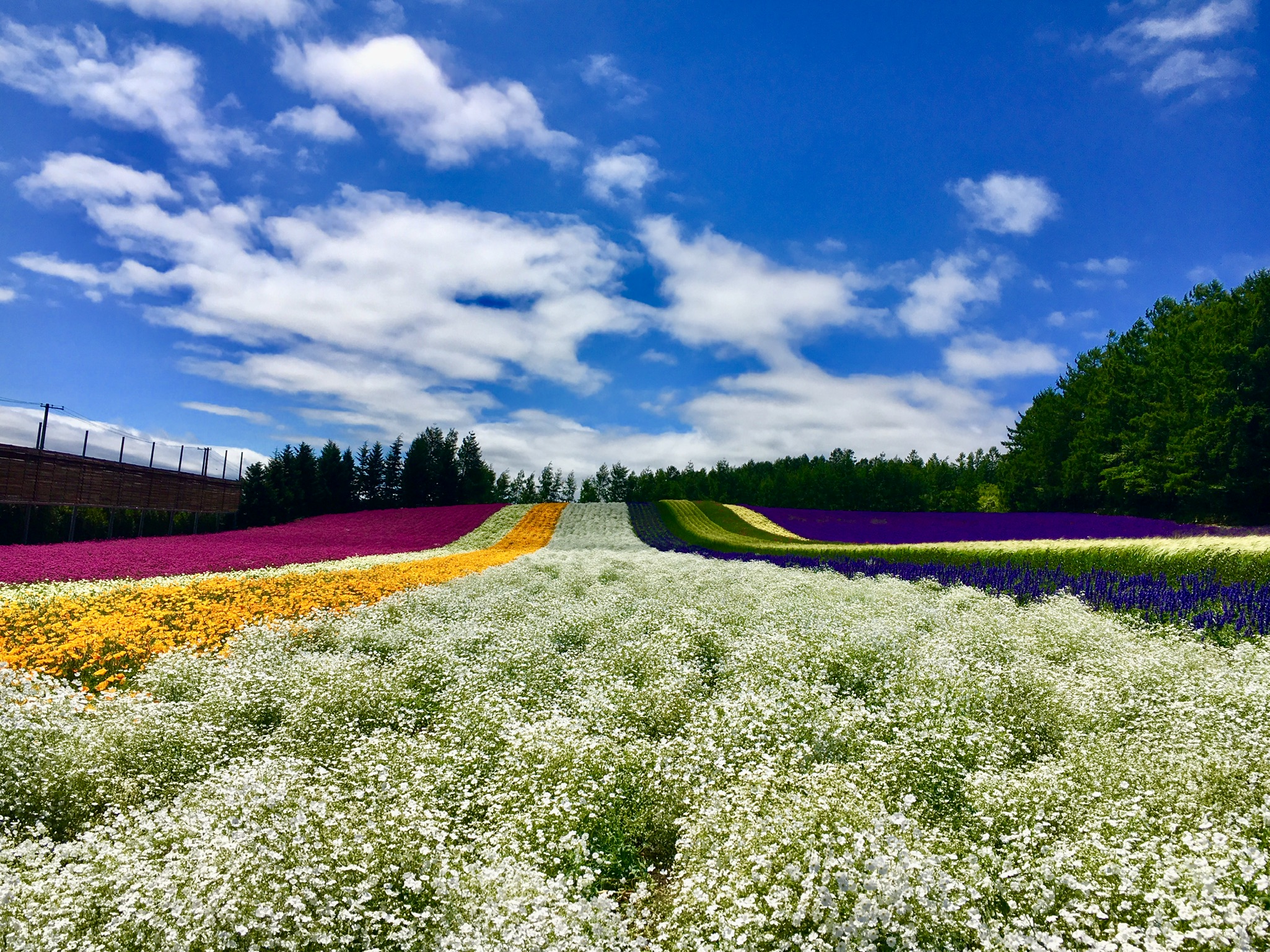 旅行を再開するのは、近隣から