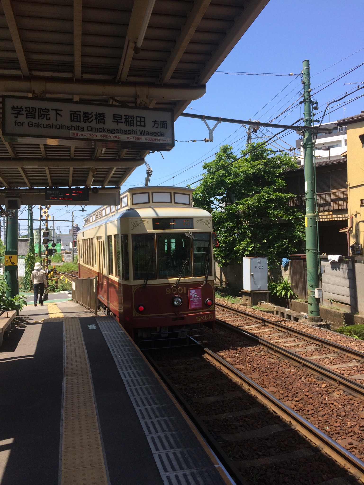 初夏の気候