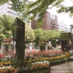 ここ最近の休日