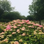 山形県 庄内地方