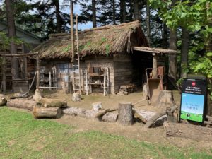 京都へ行くなら今ですね