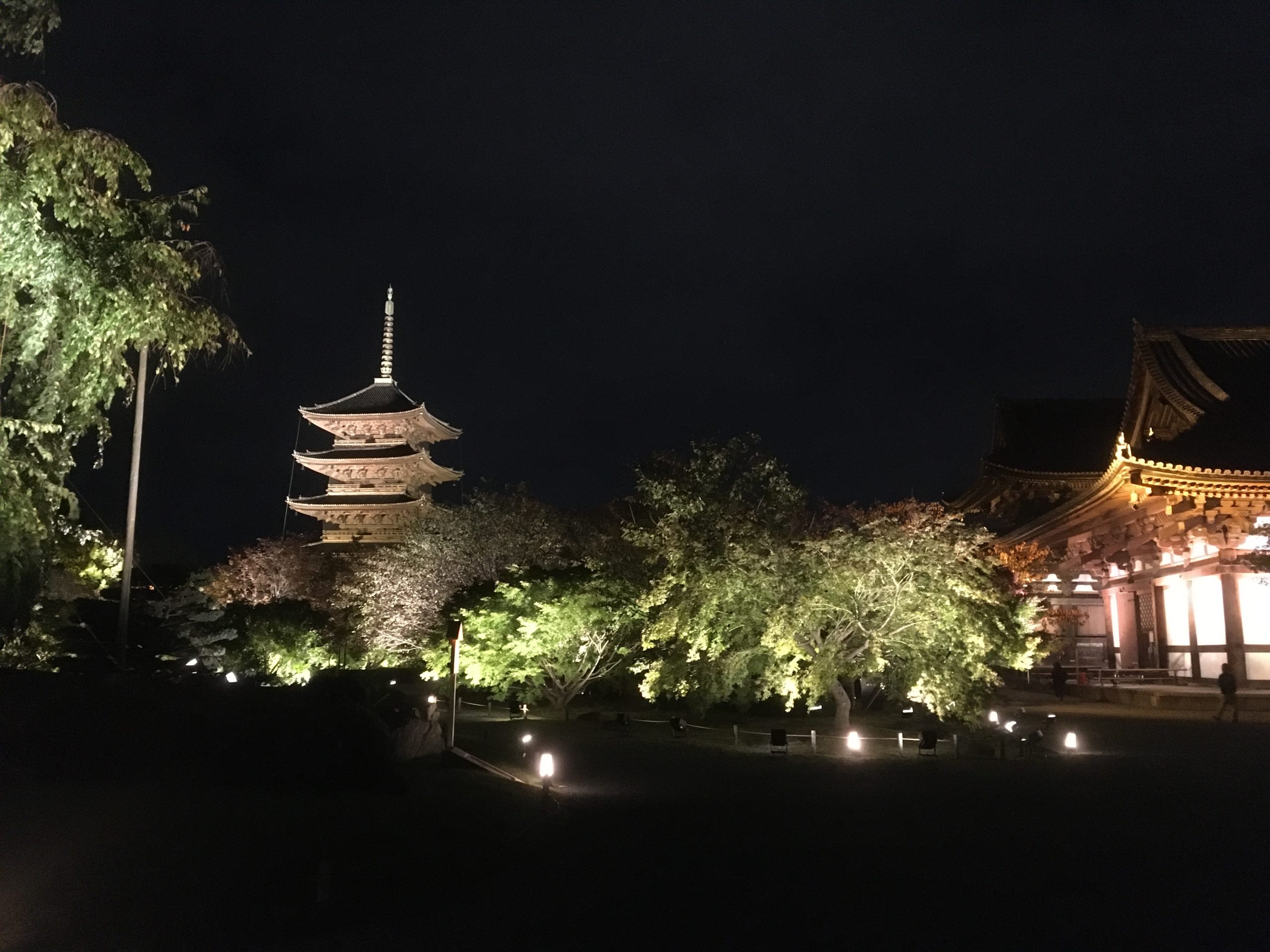 GOTOトラベルキャンペーン　京都　２０２０