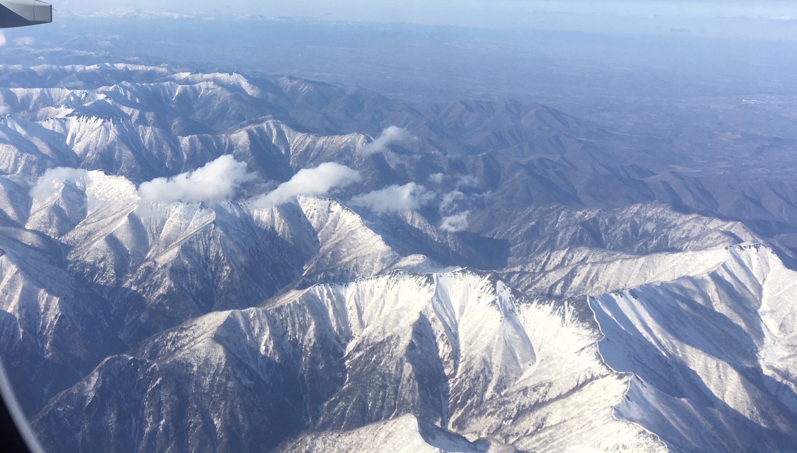 春 期間限定旅